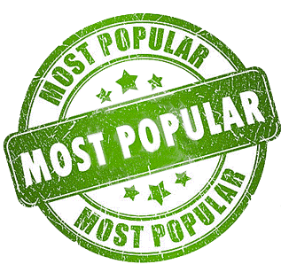 Most Popular Products