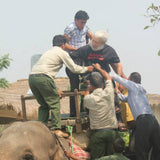 Comfort Carrier Patient Lift Sling for Wheelchair to Aircraft Transfers & Evacuation - FREE WORLDWIDE SHIPPING! - Inclusive Inc