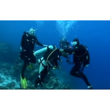 Comfort Carrier Patient Lift Sling for Wheelchair to Aircraft Transfers & Evacuation - FREE WORLDWIDE SHIPPING! - Inclusive Inc