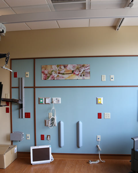 Medcare Pro Heavy Duty Ceiling Lift Motor Unit with Accessories - Broadened Horizons Direct